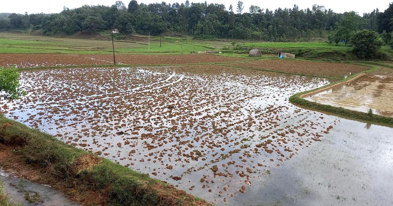 Coorg Coffee Park Farmstay Somvārpet Kültér fotó