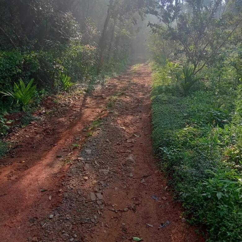 Coorg Coffee Park Farmstay Somvārpet Kültér fotó
