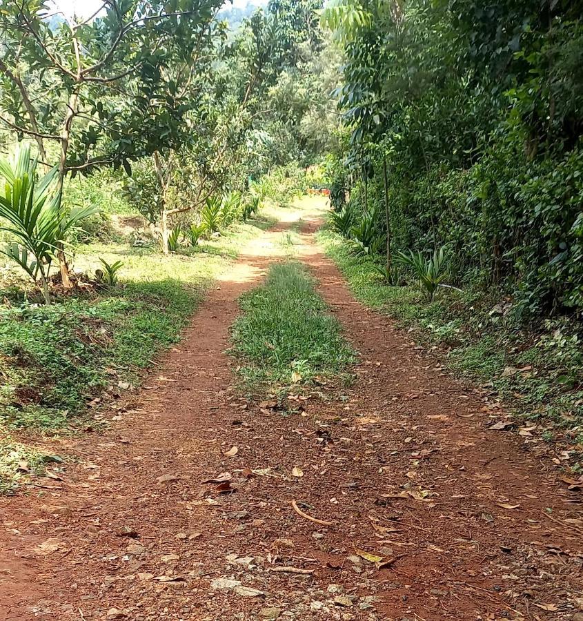Coorg Coffee Park Farmstay Somvārpet Kültér fotó