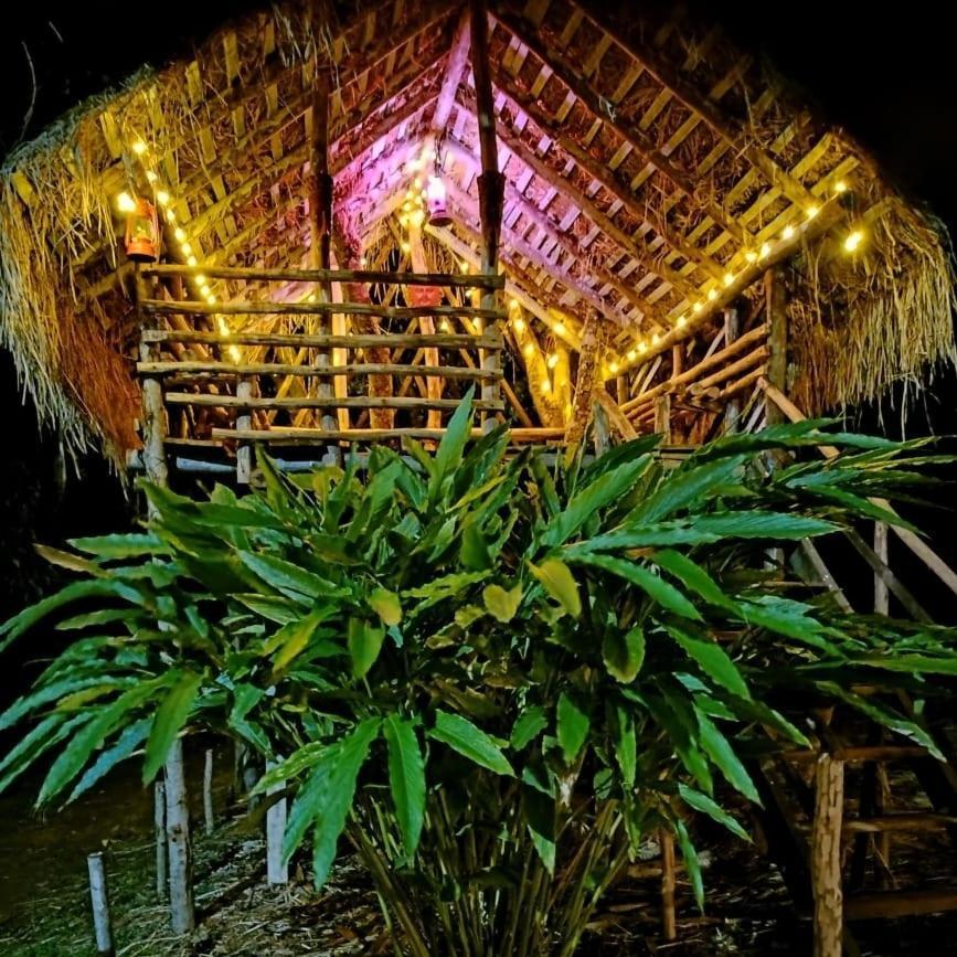 Coorg Coffee Park Farmstay Somvārpet Kültér fotó