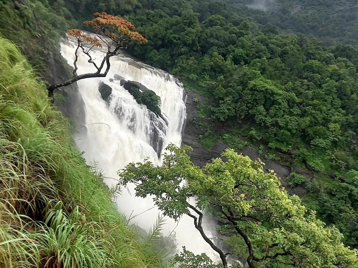 Coorg Coffee Park Farmstay Somvārpet Kültér fotó