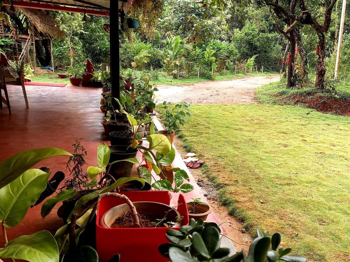 Coorg Coffee Park Farmstay Somvārpet Kültér fotó