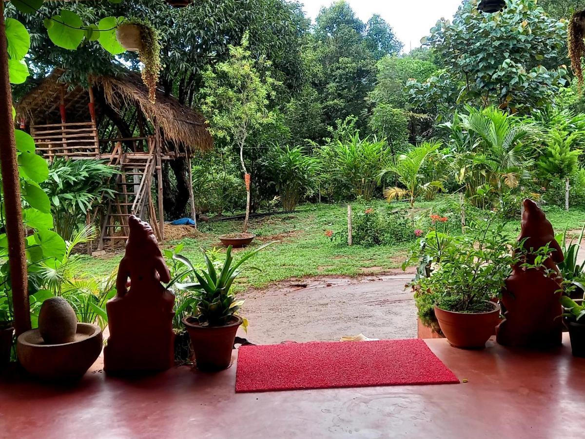 Coorg Coffee Park Farmstay Somvārpet Kültér fotó