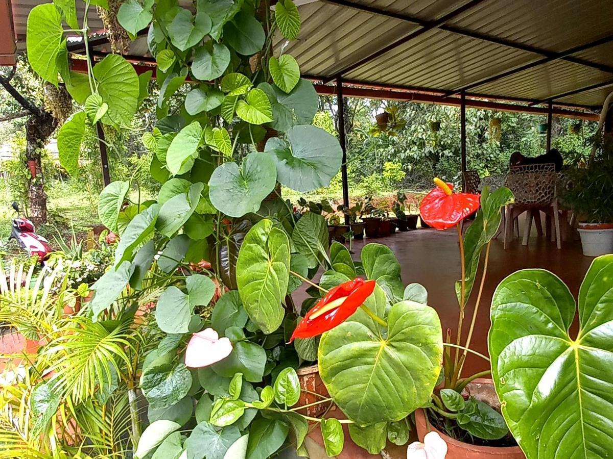 Coorg Coffee Park Farmstay Somvārpet Kültér fotó
