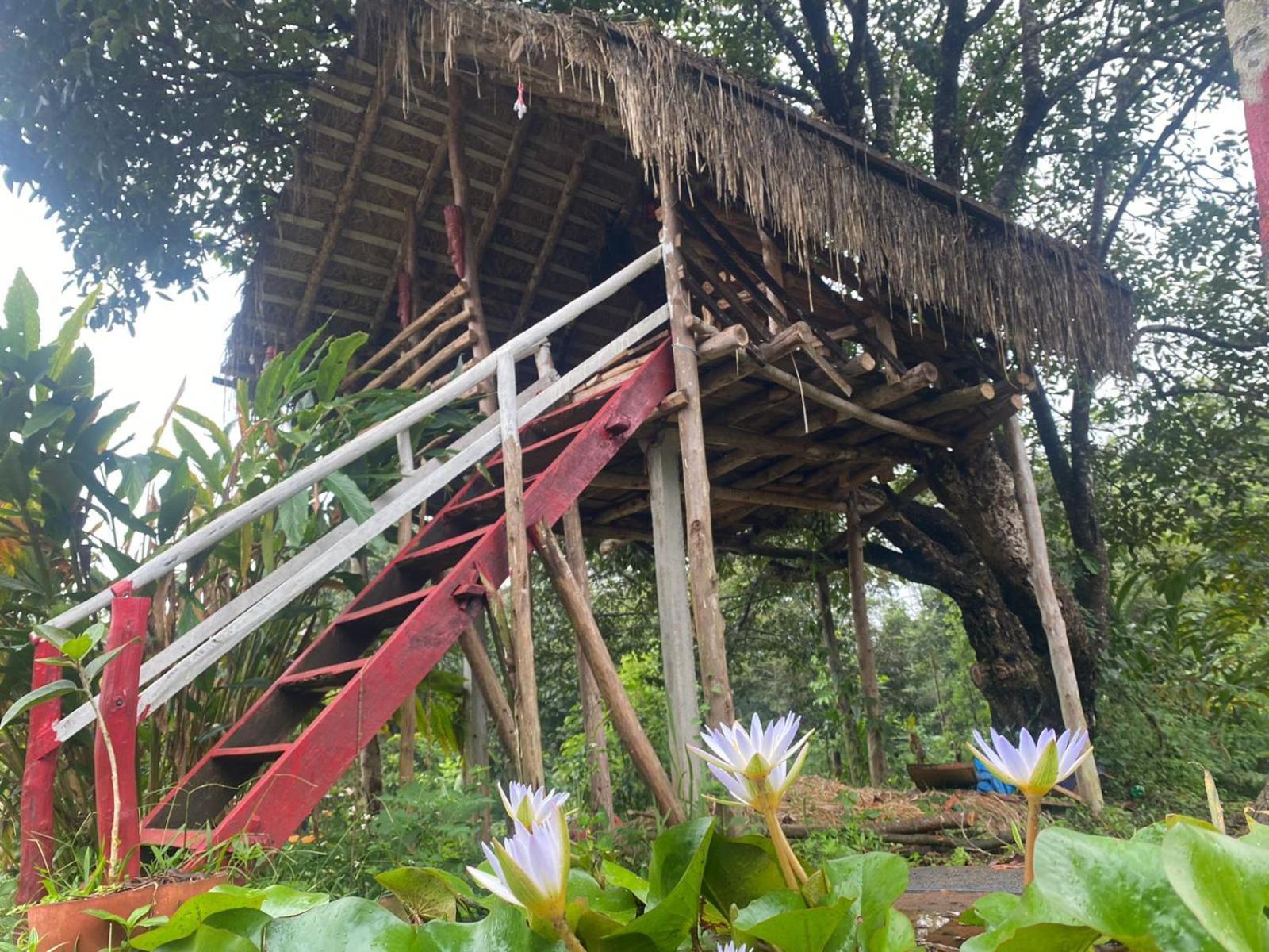 Coorg Coffee Park Farmstay Somvārpet Kültér fotó